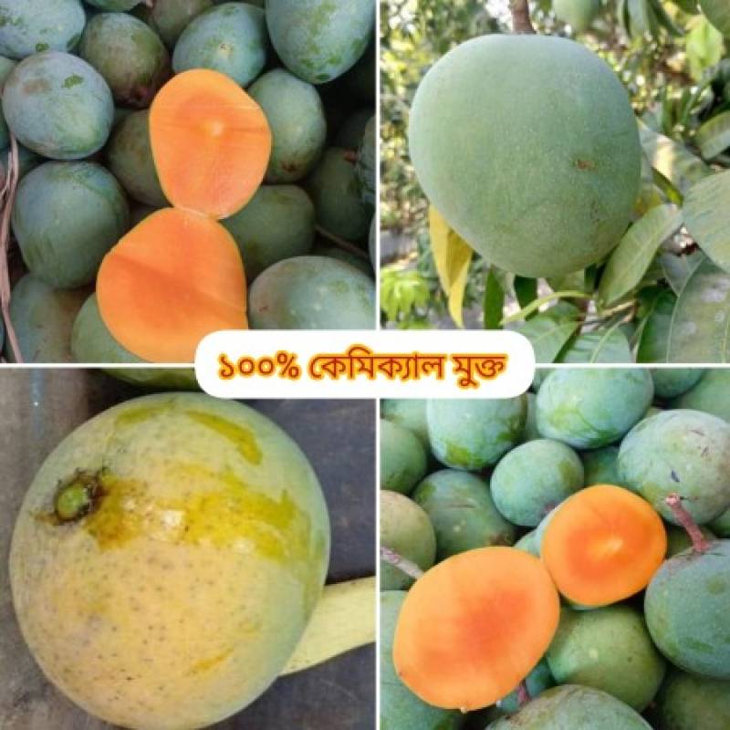 20 কেজি গোবিন্দভোগ আম 129.5 টাকা করে 2590 টাকা